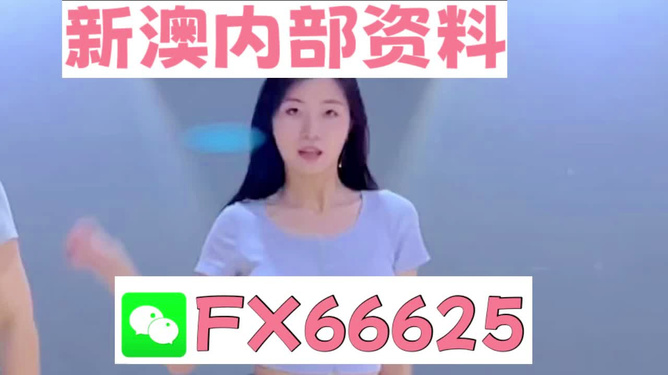 新澳门精准资料大全管家婆料,澳门精准资料大全与管家婆料，探索与解析