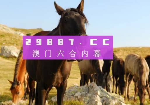 澳门管家婆一肖一码2023年,澳门管家婆一肖一码2023年预测与探索