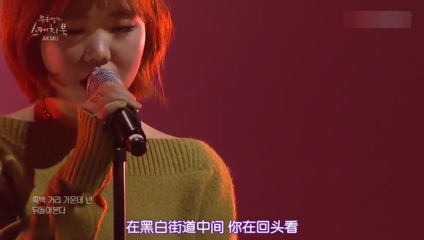 乐童音乐家最新综艺,乐童音乐家最新综艺，音乐之旅的璀璨篇章