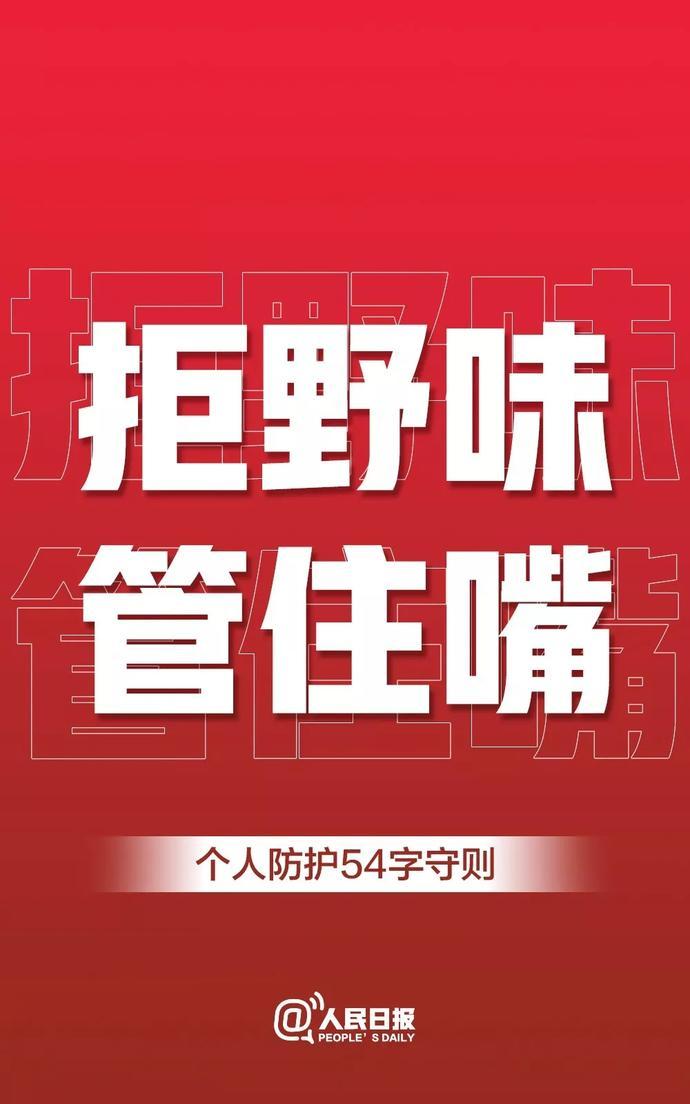 厦门火车停运最新消息,厦门火车停运最新消息，深度解析与影响评估