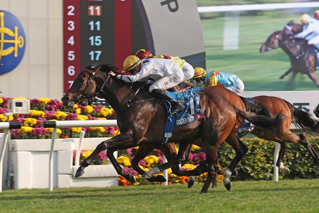 2025香港今期开奖号码马会,探索香港马会彩票，预测与未来展望