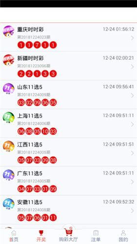 2O24管家婆一码一肖资料,揭秘2O24管家婆一码一肖资料，探寻背后的秘密与真相