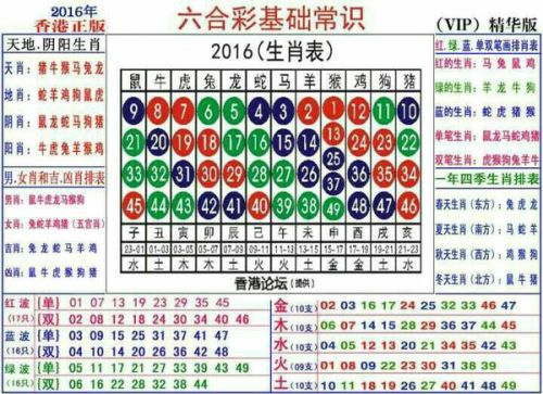 2025十二生肖49个码,揭秘十二生肖与数字49的神奇联系——探寻2025年的秘密解码