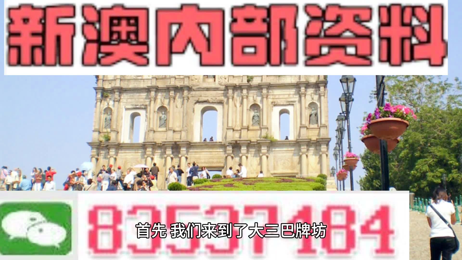 2025新澳资料免费大全一肖,探索未来，2025新澳资料免费大全一肖的独特魅力与机遇